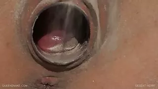 Une joi french porn tentatrice extravagante et chaude avec un beau rack adore la grosse bite de Rocco